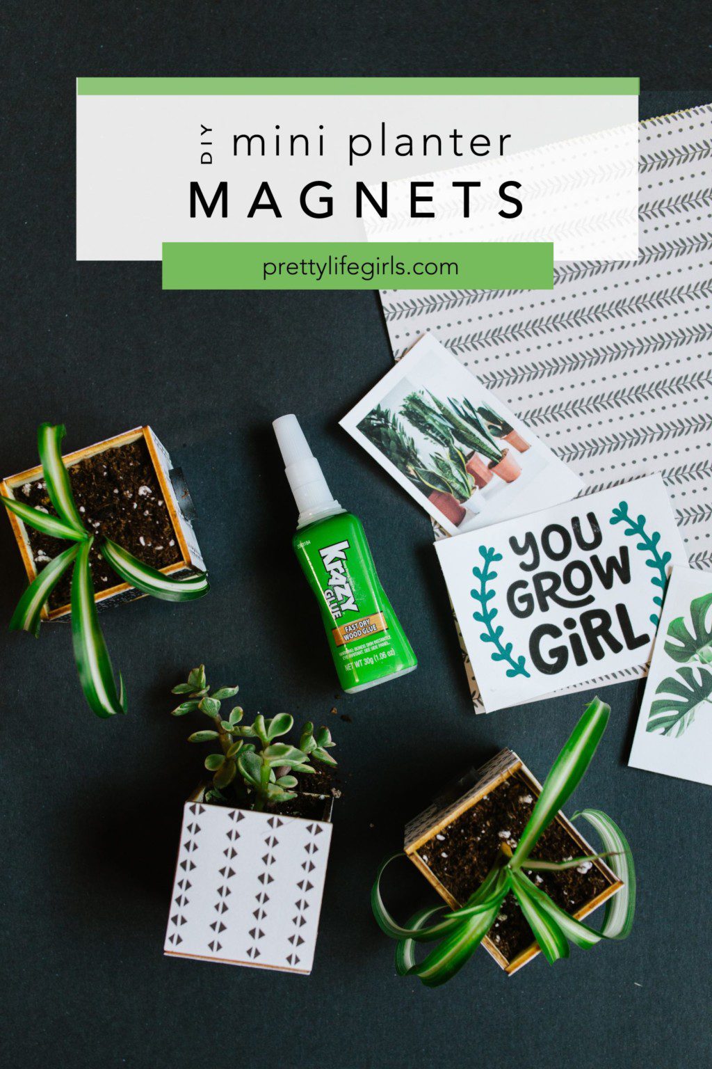 Kitchen Crafts Mini Magnet Planters For Your Fridge The Pretty Life Girls