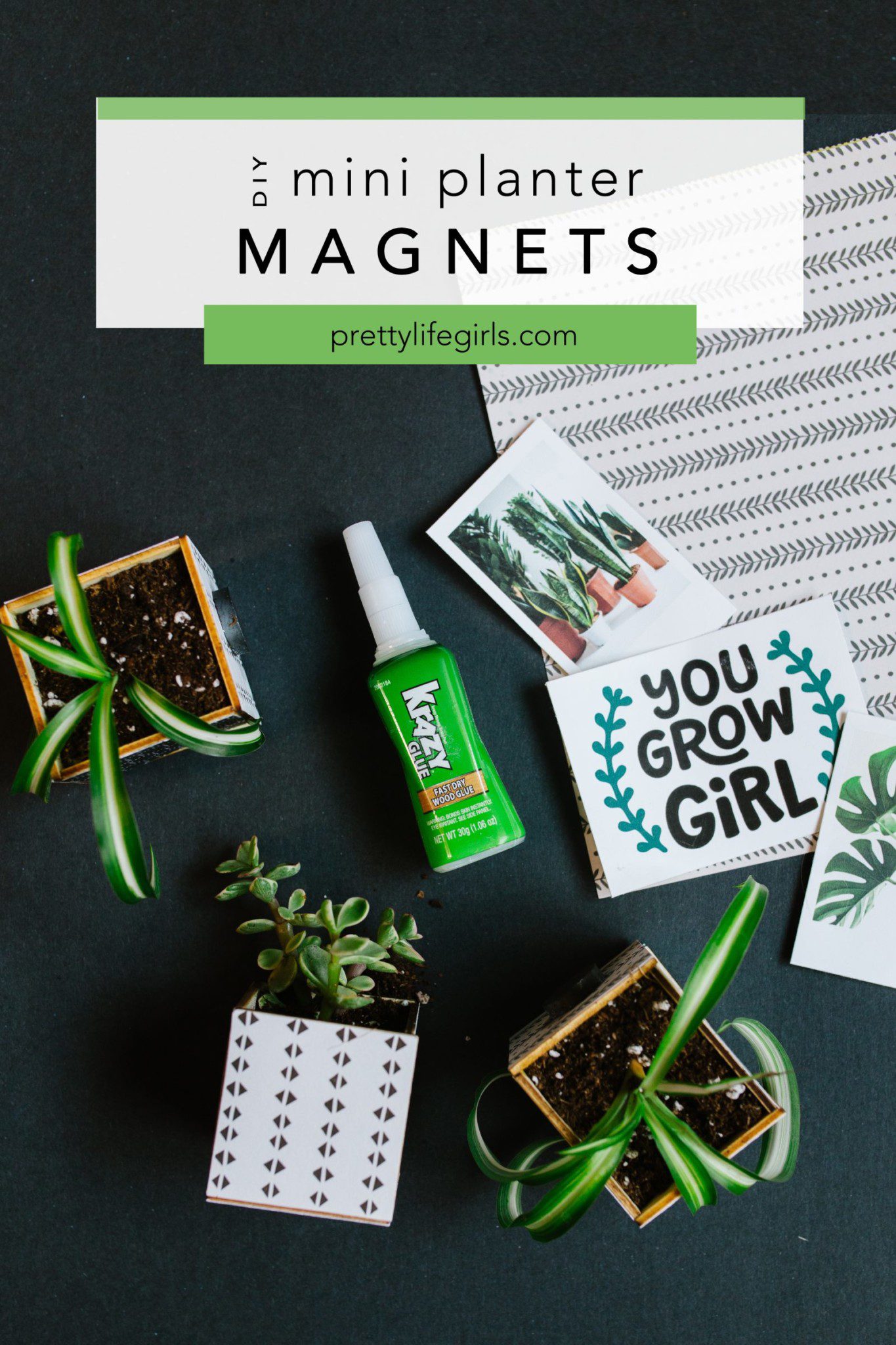 Kitchen Crafts Mini Planters for your Fridge The Pretty Life