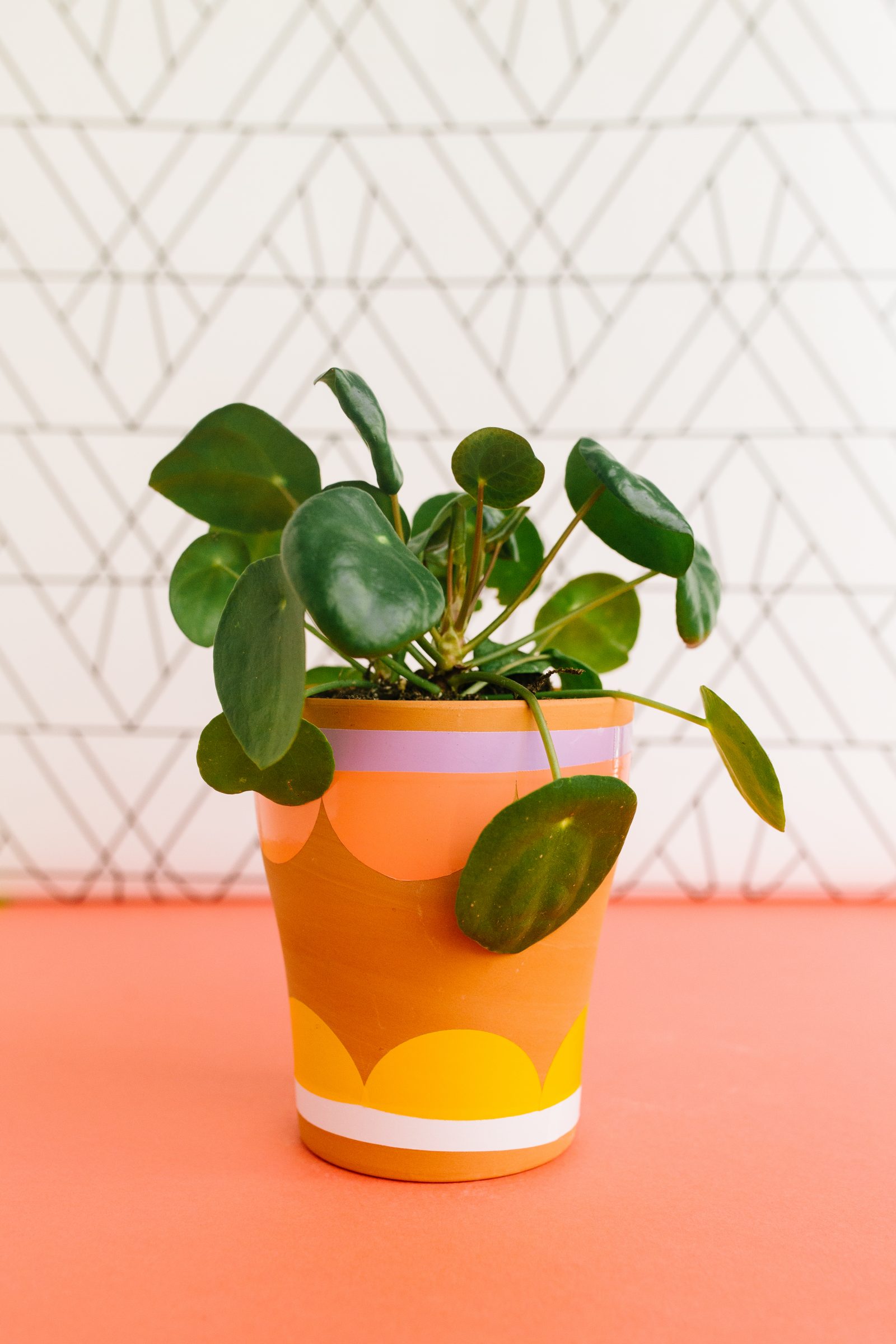 Embellished DIY Plant Pots + a tutorial featured by Top US Craft Blog + The Pretty Life Girls
