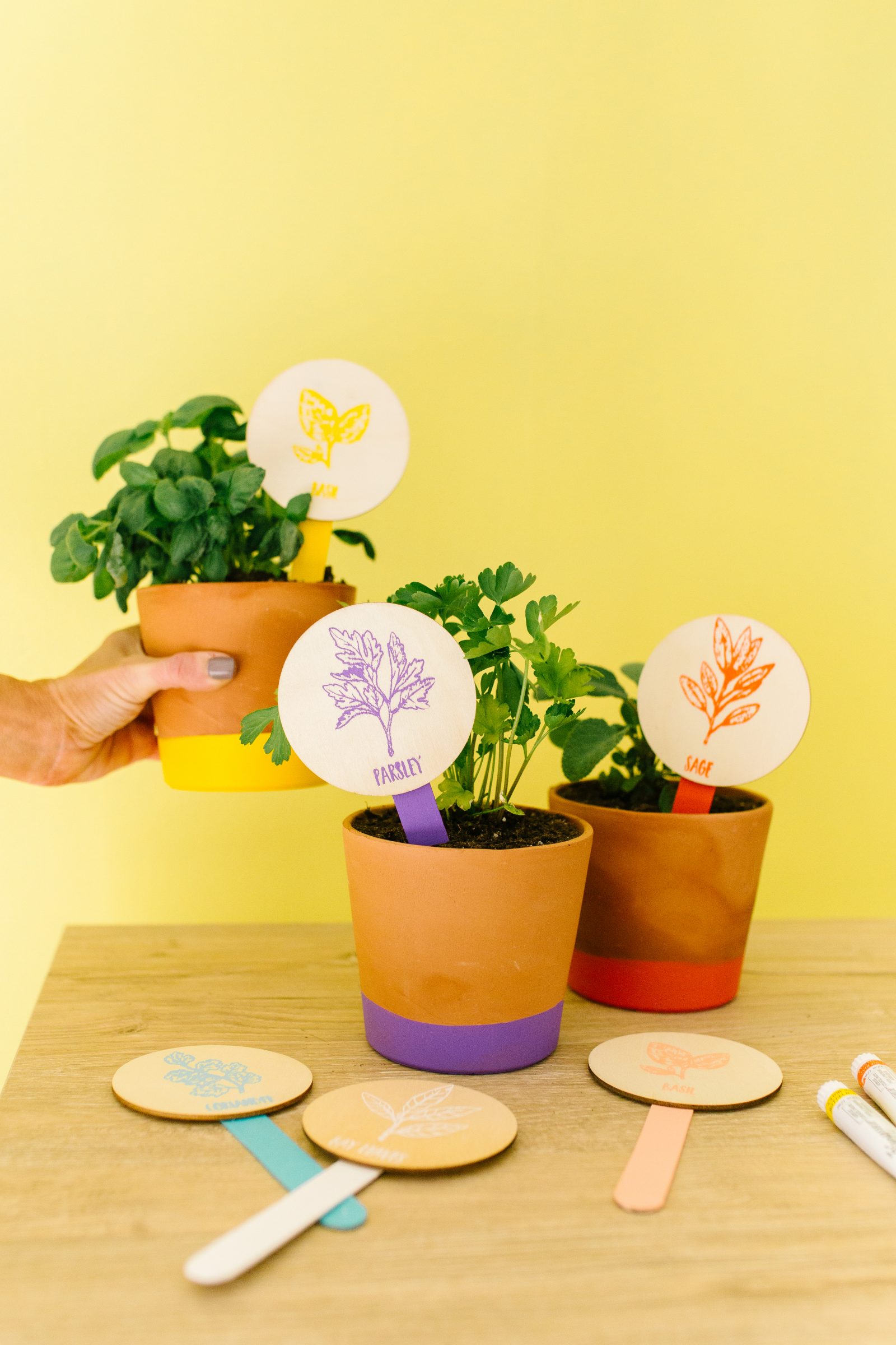 DIY Plant Markers for your Herb Garden + a tutorial featured by Top US Craft Blog + The Pretty Life Girls