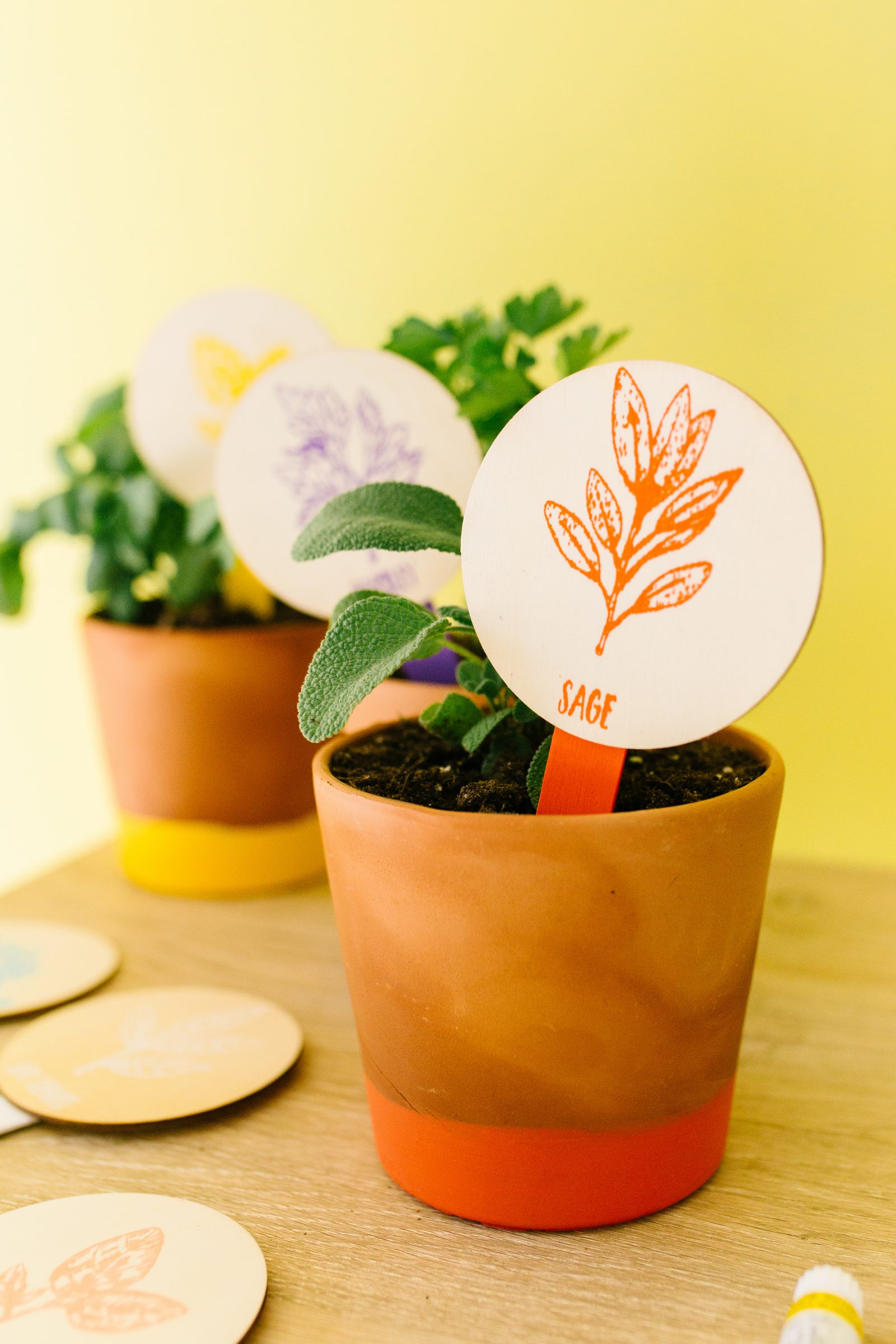 DIY Plant Markers for your Herb Garden + a tutorial featured by Top US Craft Blog + The Pretty Life Girls