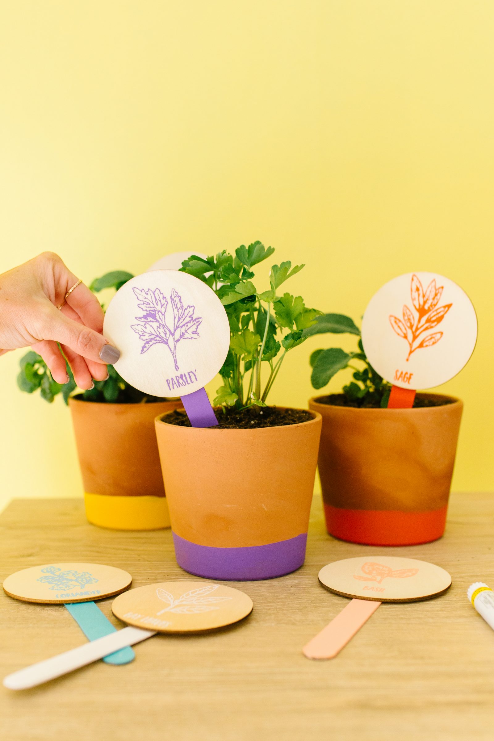 DIY Plant Markers for your Herb Garden + a tutorial featured by Top US Craft Blog + The Pretty Life Girls