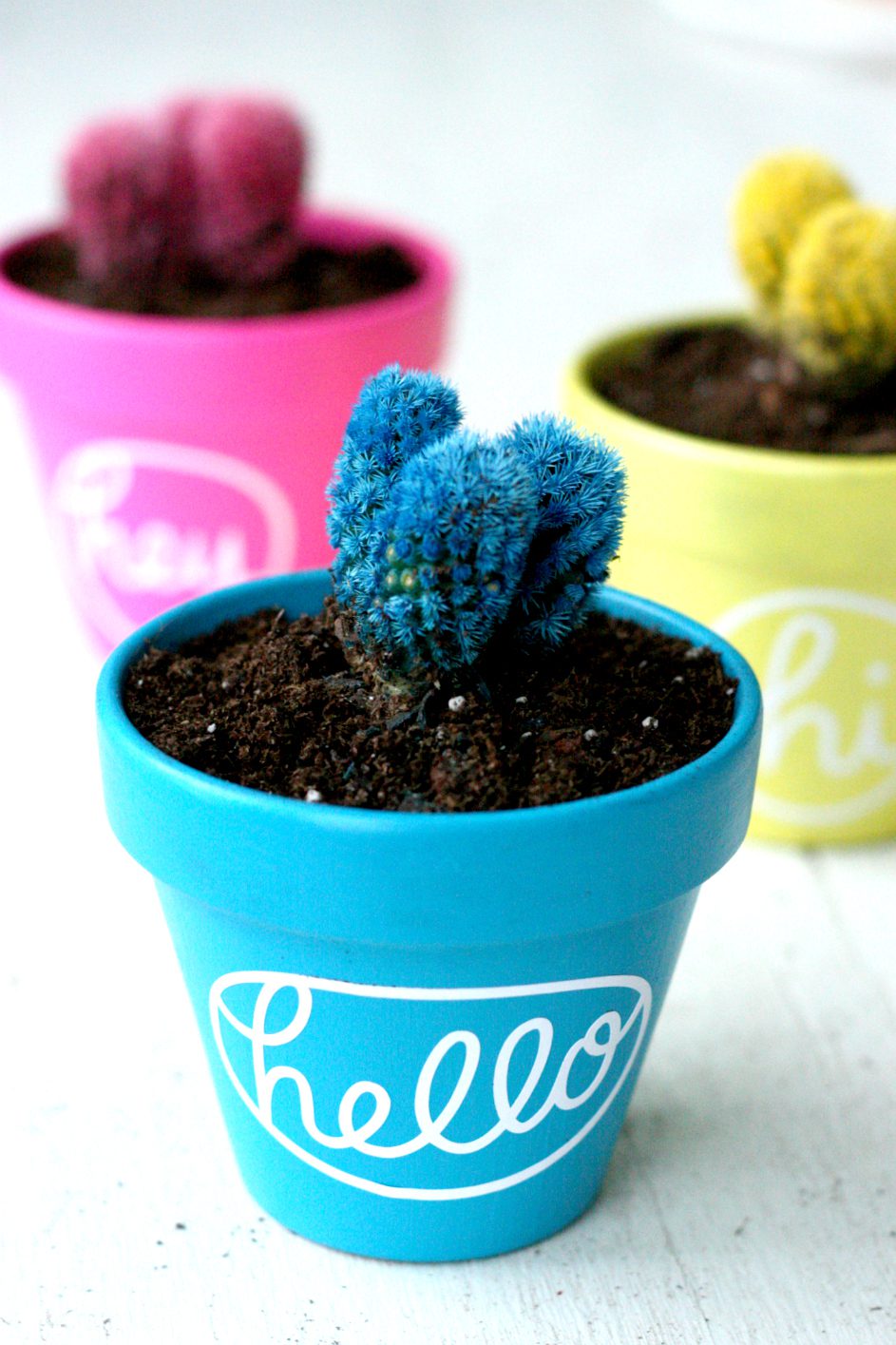 10 Silhouette CAMEO Projects for Beginners + a tutorial featured by Top US Craft Blog + The Pretty Life Girls + Hello Cactus Planters